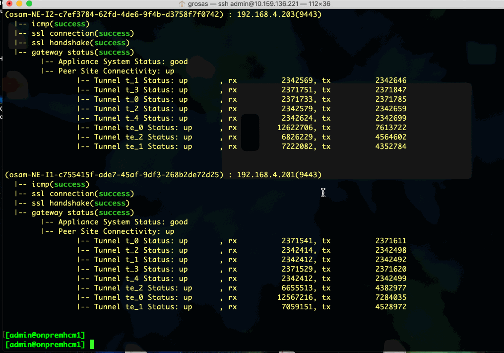 Getting started with the HCX Central CLI (CCLI) – virtual graveyard